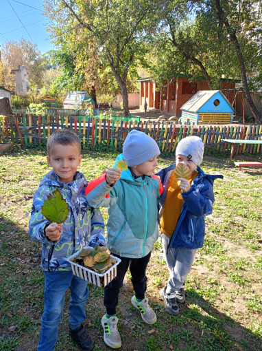 Мы по садику гуляли, за природой наблюдали Мы по садику гуляли, за природой наблюдали.
